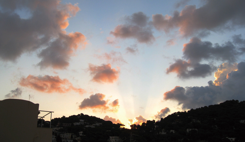 colza-top-2009.jpg