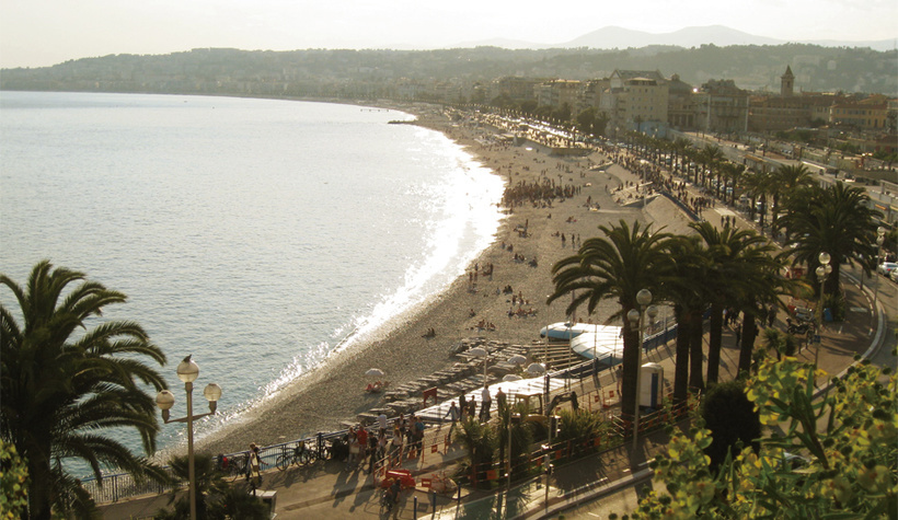 colza-top-2011.jpg